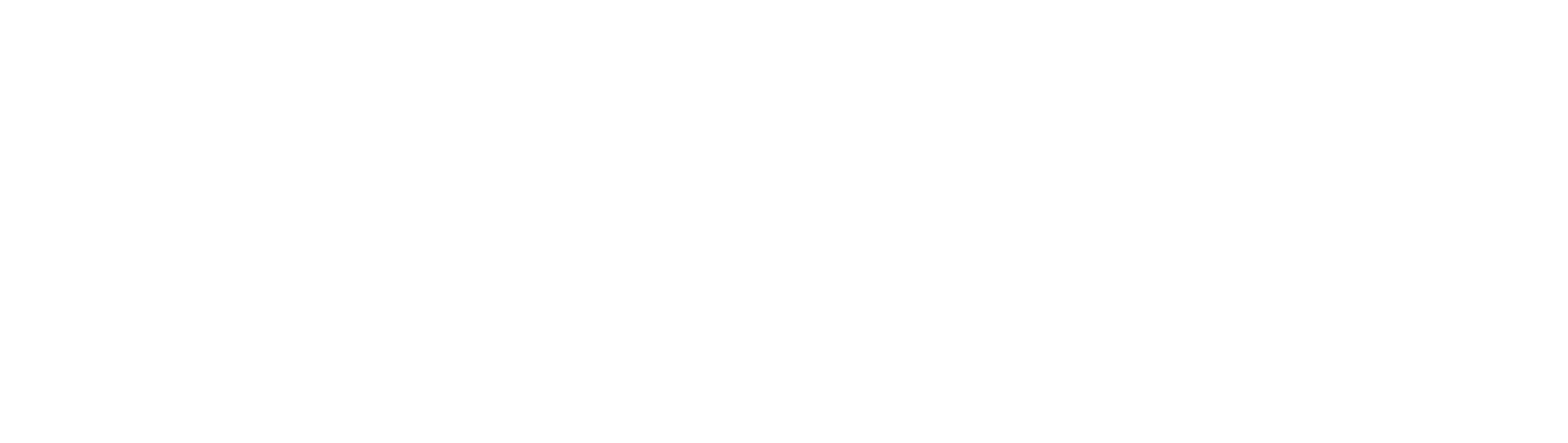 Simplifier
