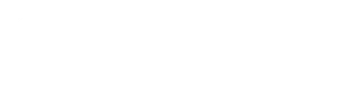 Simplifier